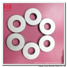 10mm*5mm*2mm Piezoelectric Ceramics Type Pzt Material Piezoelectric Ceramics